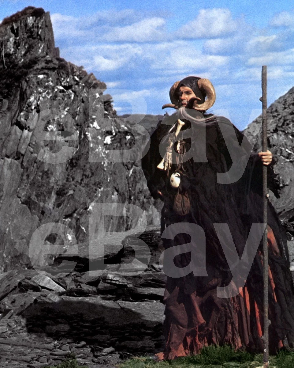 Monty Python and the Holy Grail (1974) John Cleese 16x12 Photo Poster Print, изображение 4