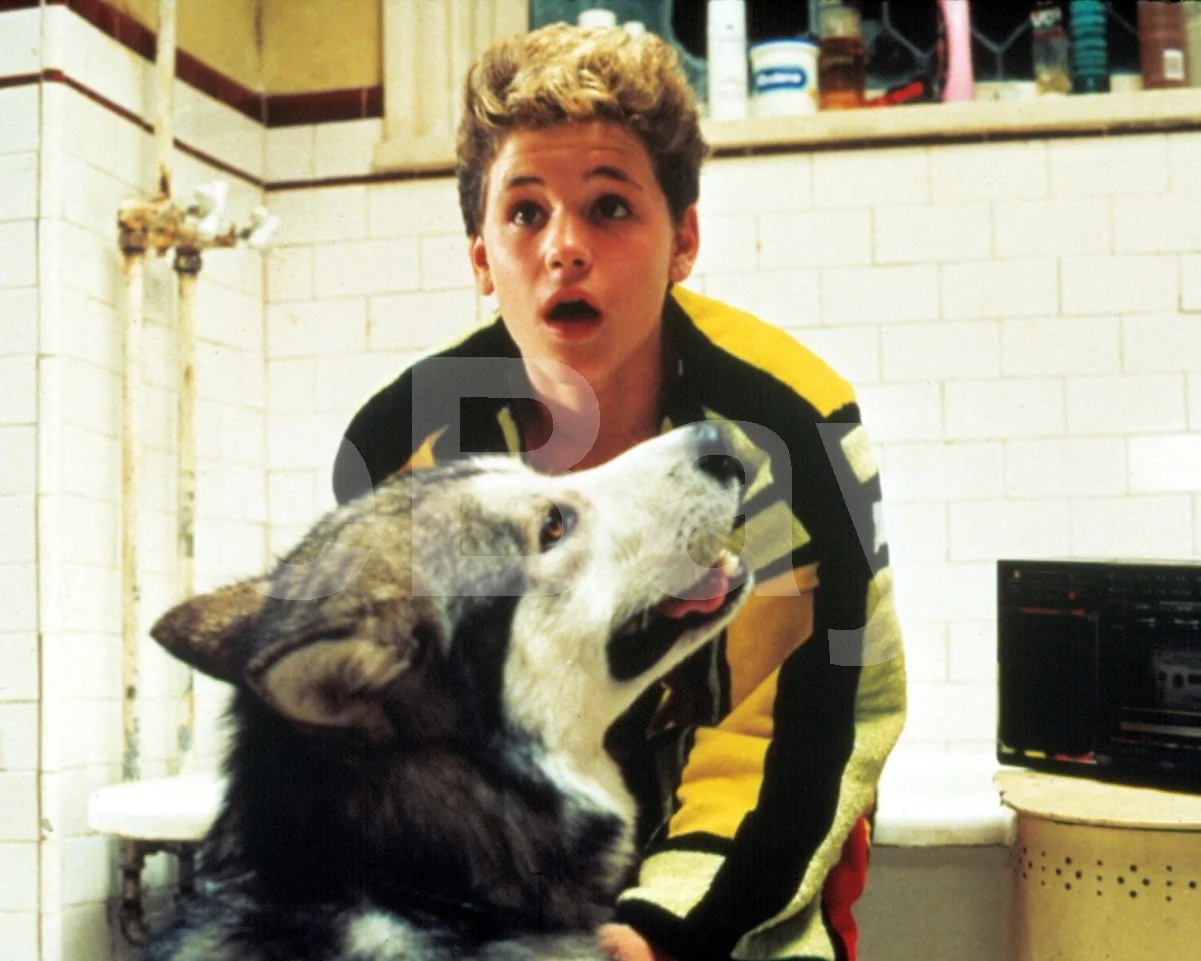 The Lost Boys (1987) Corey Haim 16x12 Photo Poster Print, изображение 4