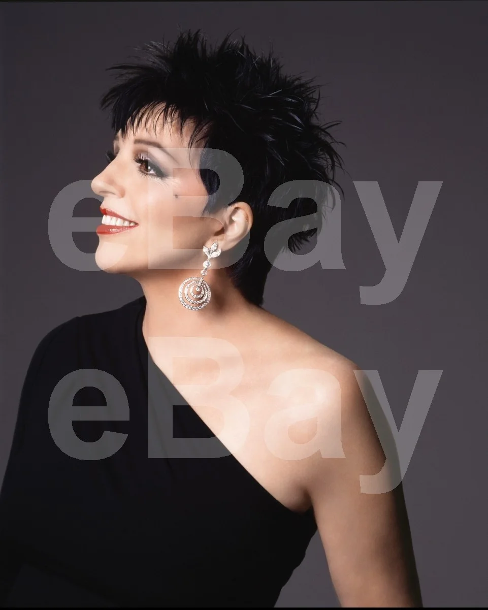 Liza Minnelli 16x12 Photo Poster Print, image 4