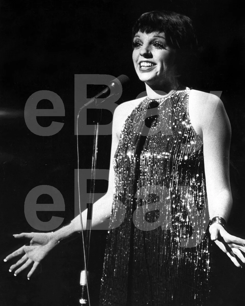 Liza Minnelli 16x12 Photo Poster Print, изображение 4