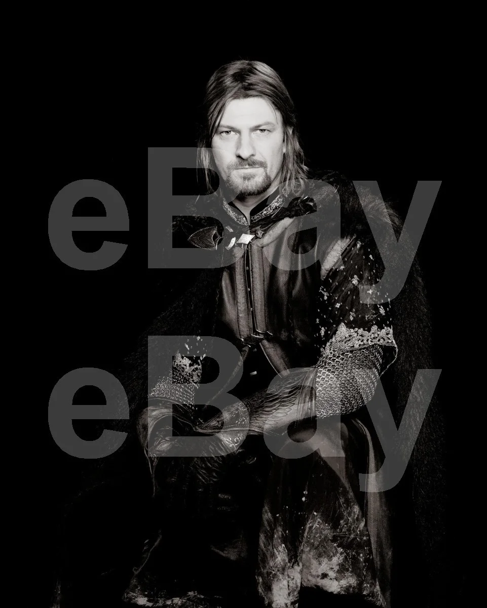 The Lord of the Rings (2001) Sean Bean "Boromir" 16x12 Photo Poster Print, изображение 4
