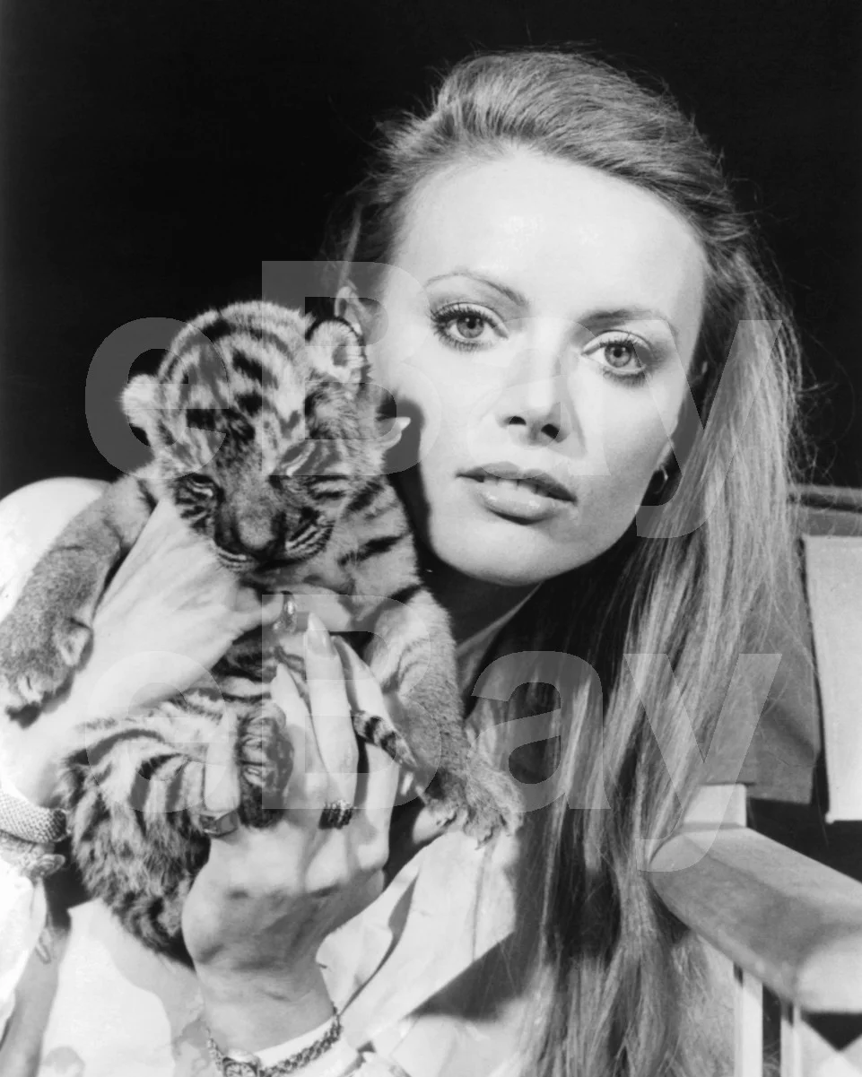 Kristina Wayborn 16x12 Photo Poster Print, image 4