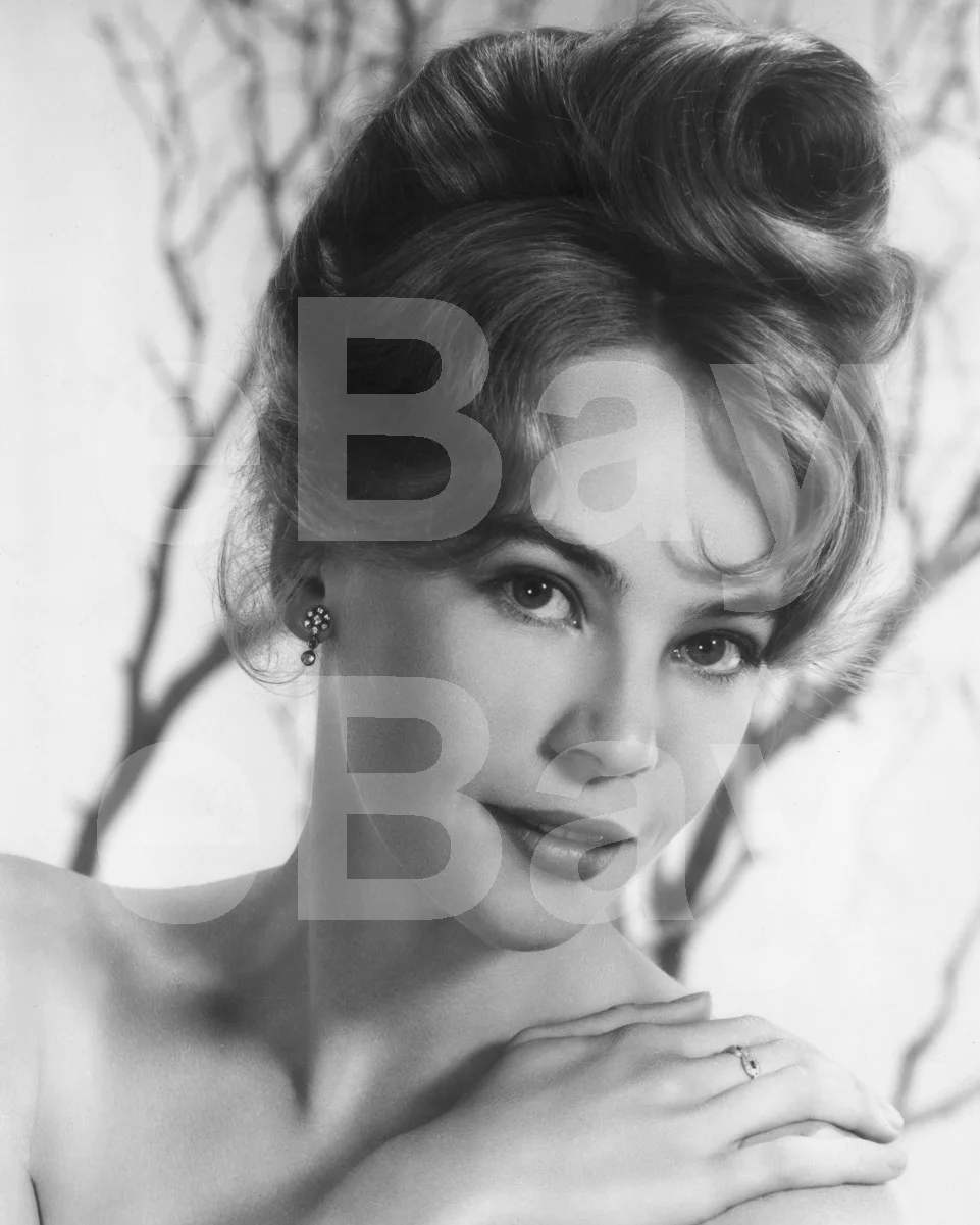 Leslie Caron 16x12 Photo Poster Print, image 4