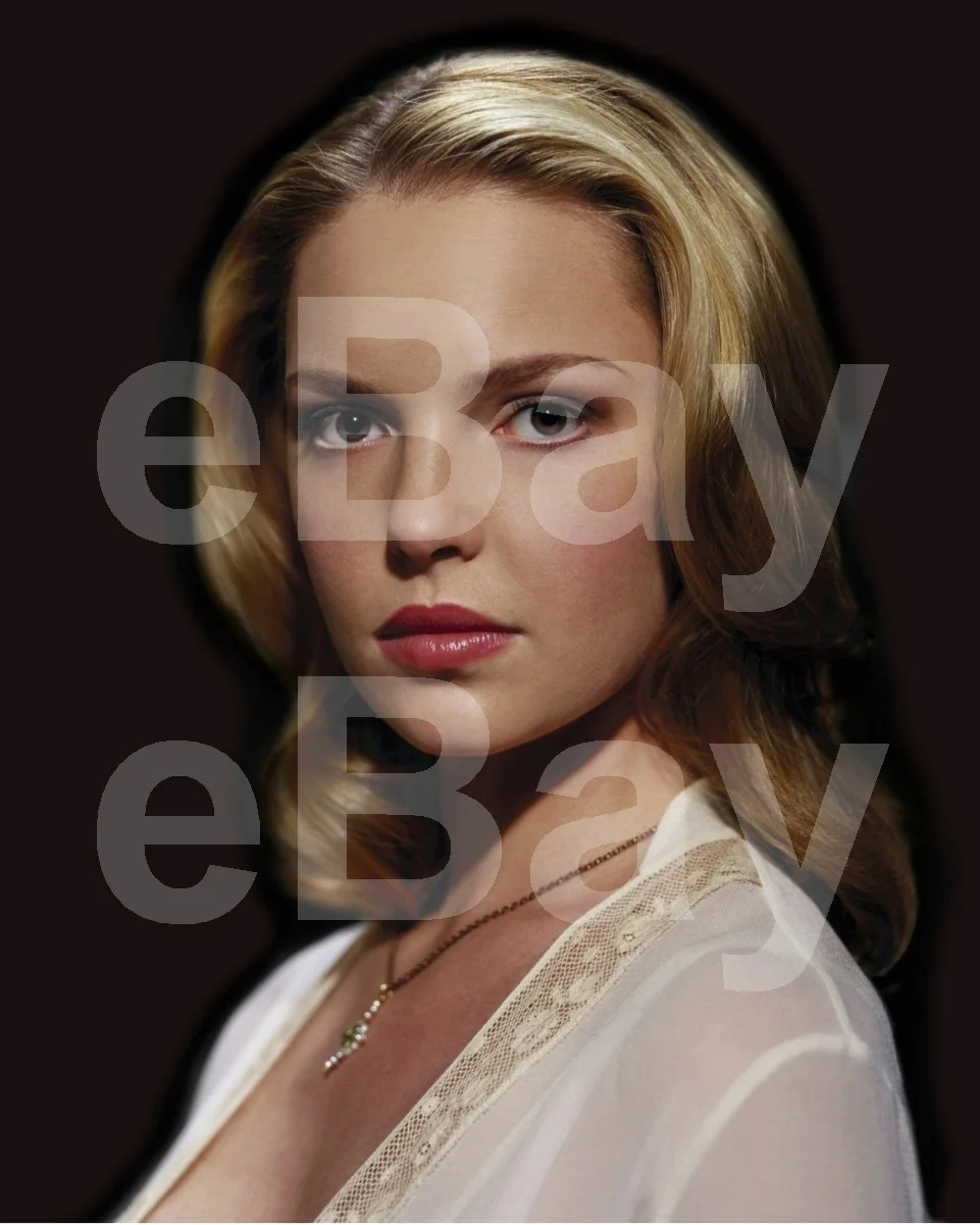 Katherine Heigl 16x12 Photo Poster Print, image 4