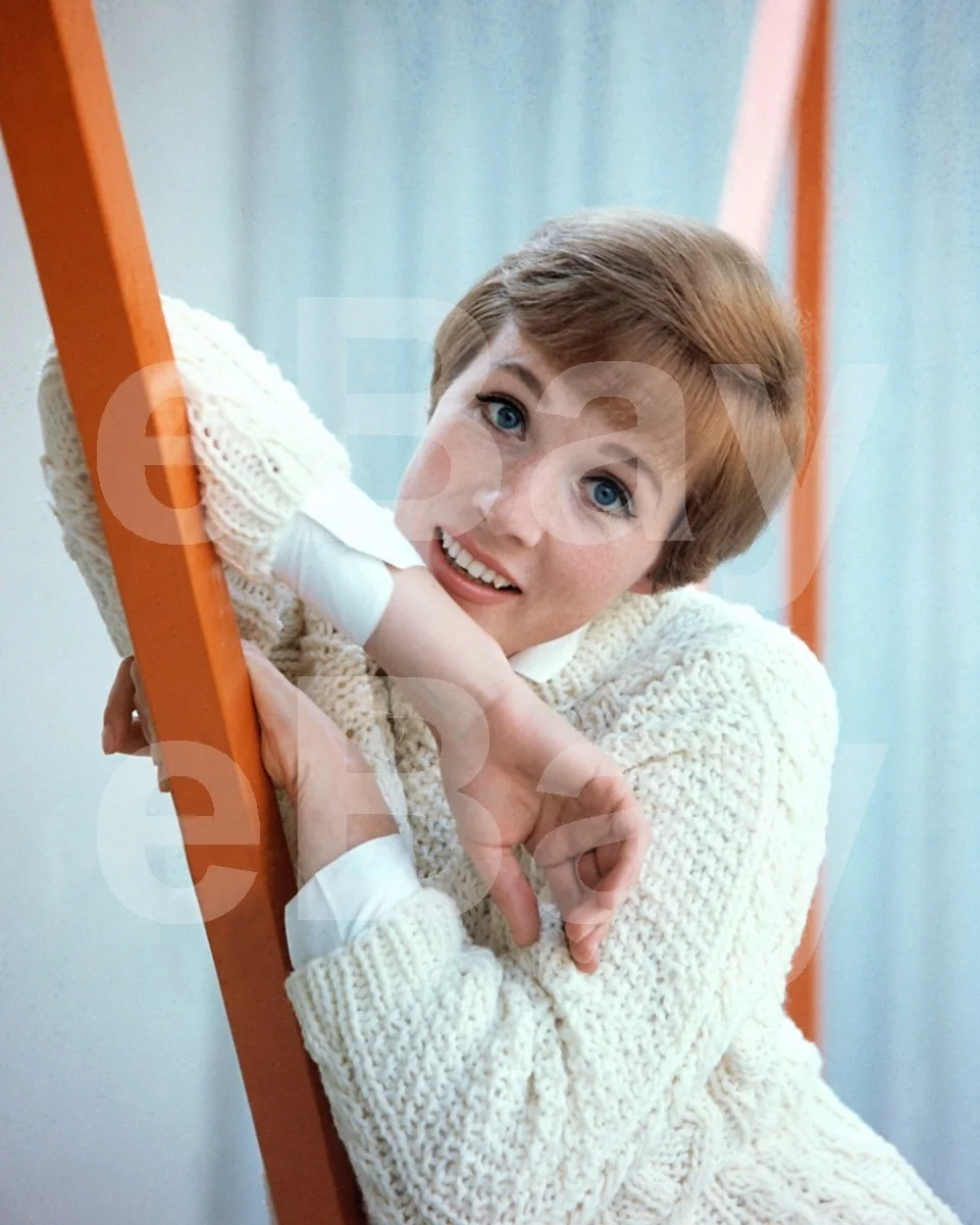 Julie Andrews 16x12 Photo Poster Print, image 4