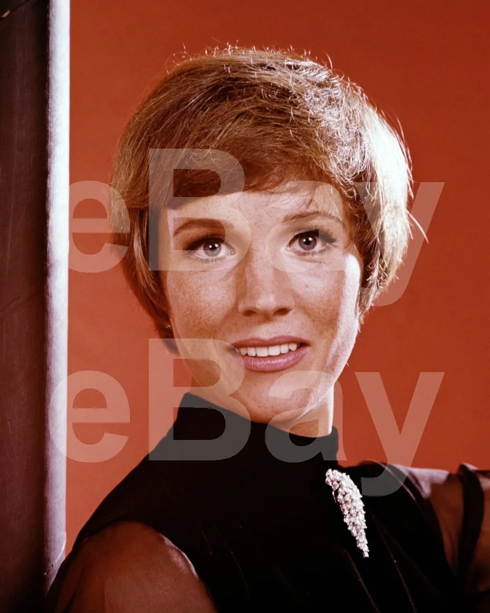 Julie Andrews 16x12 Photo Poster Print, изображение 4