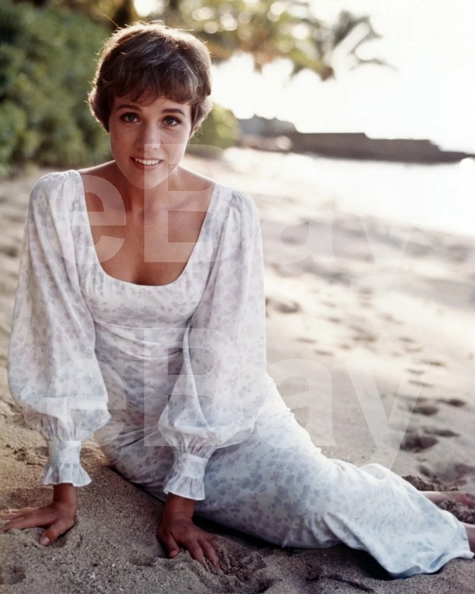 Julie Andrews 16x12 Photo Poster Print, image 4