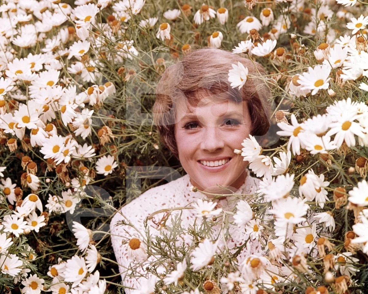 Julie Andrews 16x12 Photo Poster Print, image 4