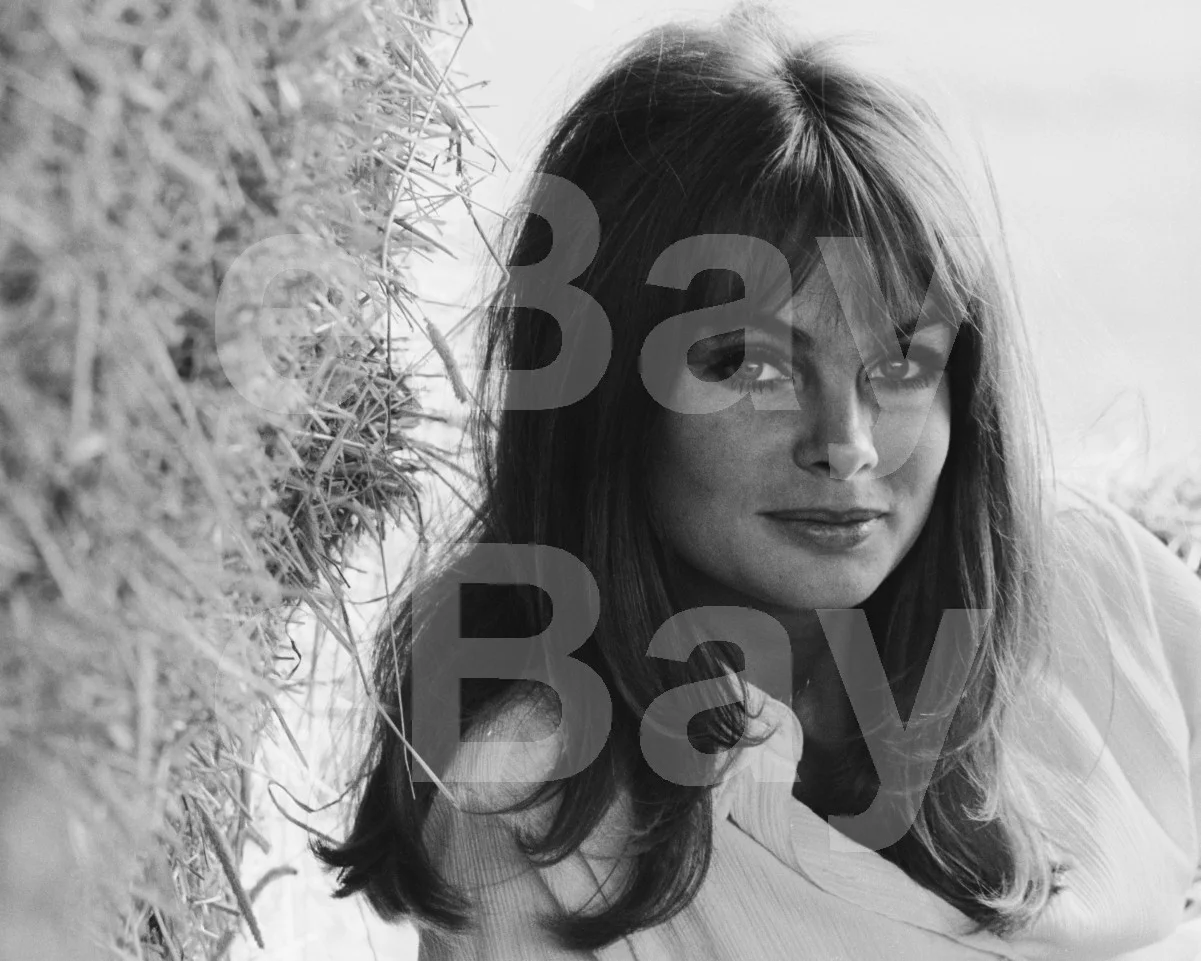 Jean Shrimpton 16x12 Photo Poster Print, image 4