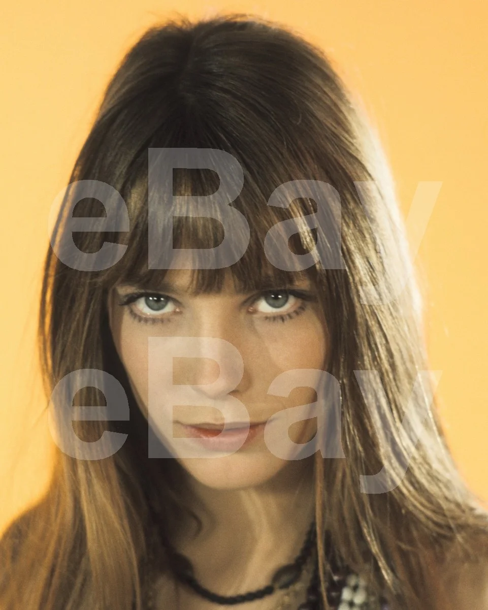 Jane Birkin 16x12 Photo Poster Print, image 4