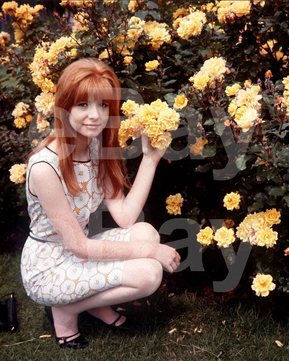 Jane Asher 16x12 Photo Poster Print, изображение 4