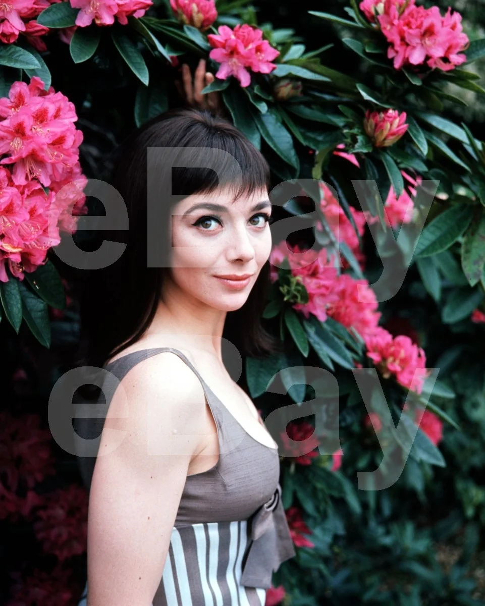 Jacqueline Pearce 16x12 Photo Poster Print, image 4