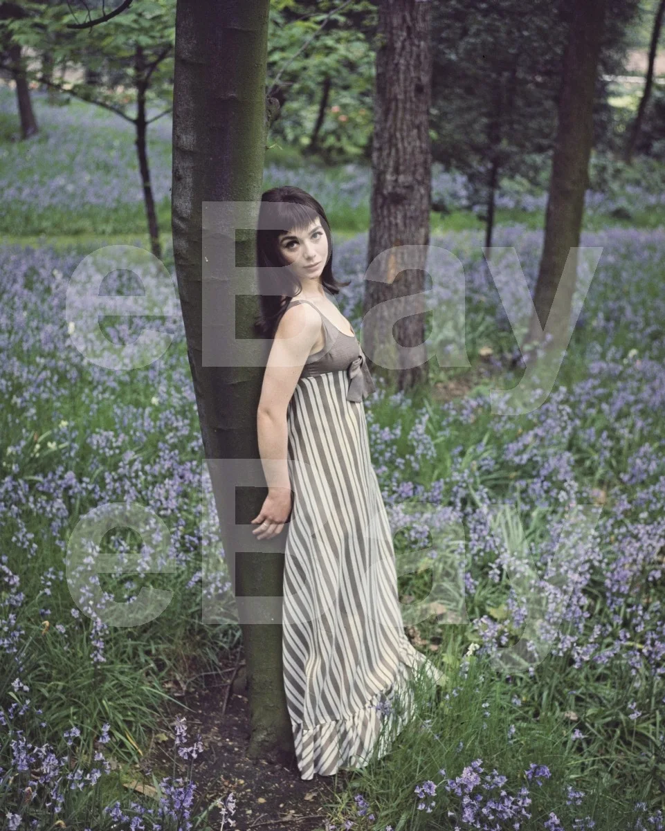 Jacqueline Pearce 16x12 Photo Poster Print, изображение 4