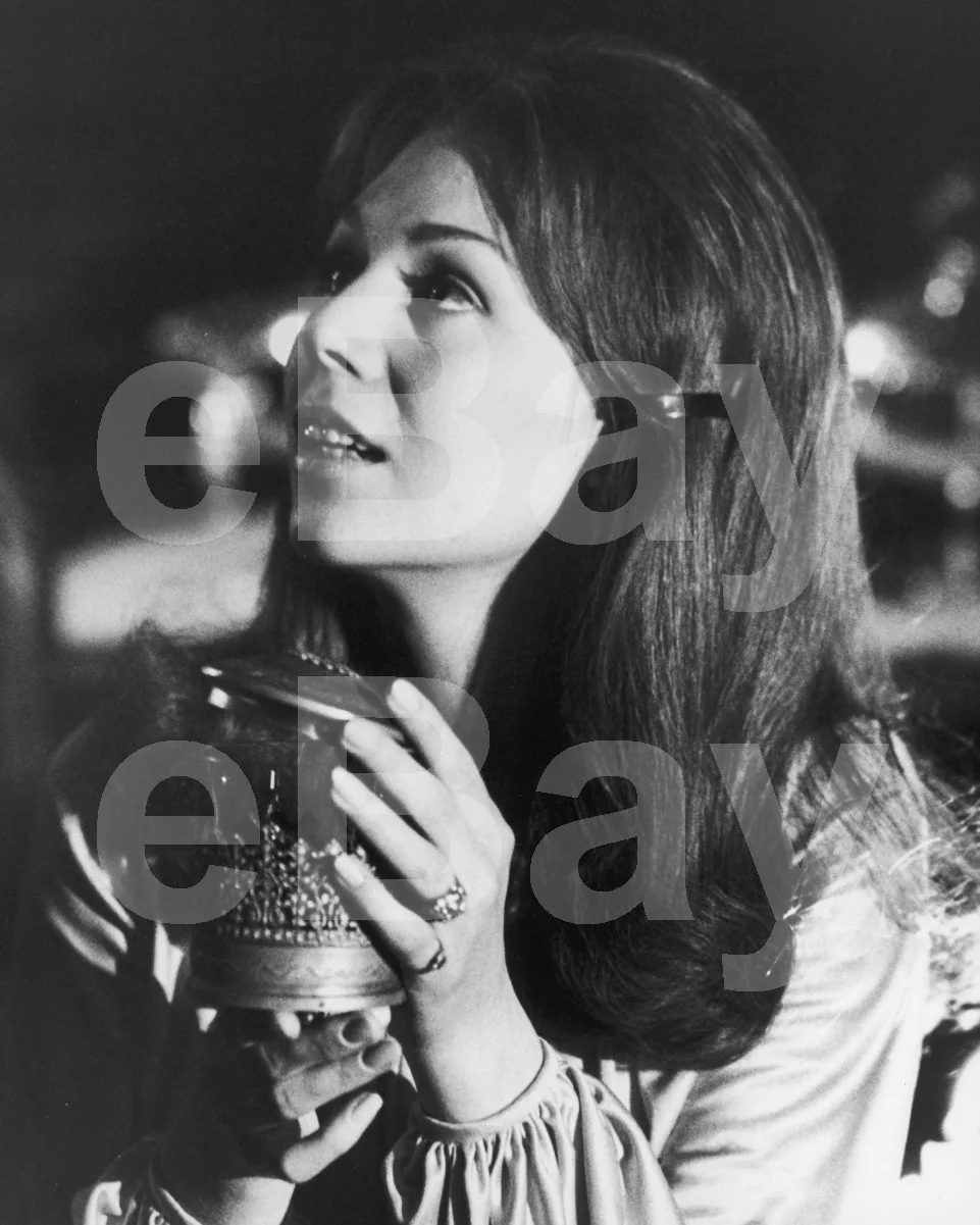 House of Dark Shadows (1970) Kathryn Leigh Scott 16x12 Photo Poster Print, изображение 4