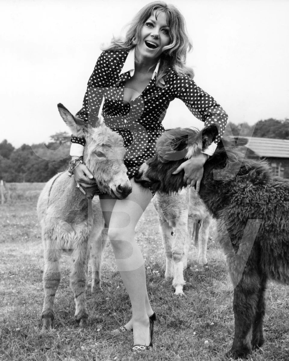 Ingrid Pitt 16x12 Photo Poster Print, изображение 4