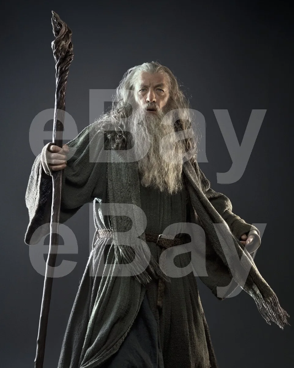 The Hobbit: An Unexpected Journey (2012) Ian McKellen "Gandalf" 16x12 Photo, image 4