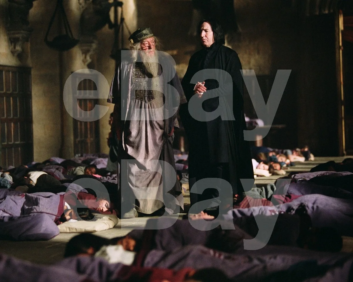 Harry Potter and the Prisoner of Azkaban Michael Gambon Alan Rickman 16x12 Photo, изображение 4
