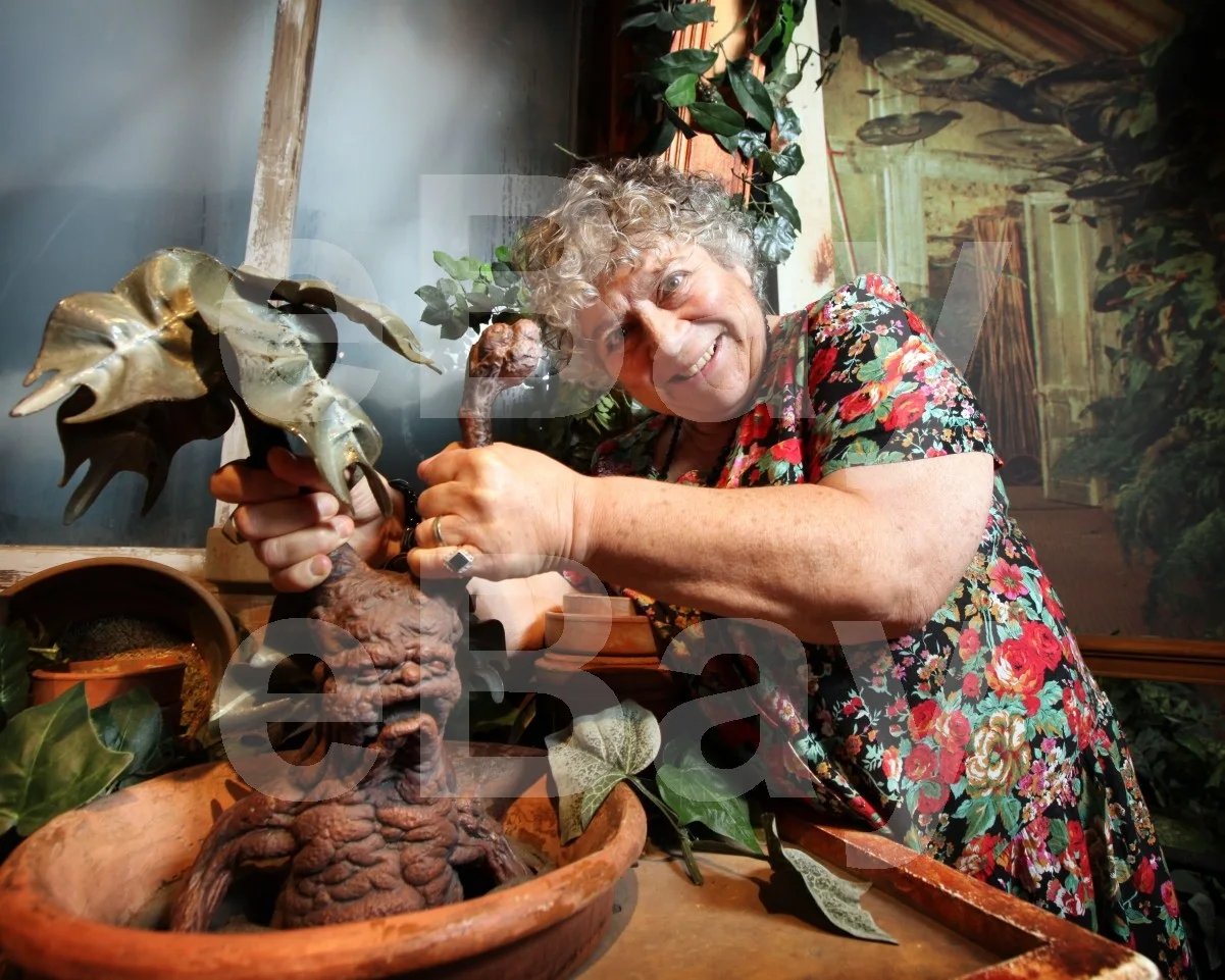 Miriam Margolyes "Harry Potter" 16x12 Photo Poster Print, image 4