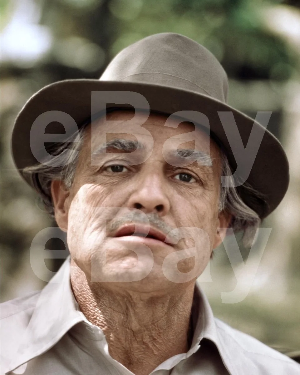 The Godfather (1972) Marlon Brando 16x12 Photo Poster Print, изображение 4