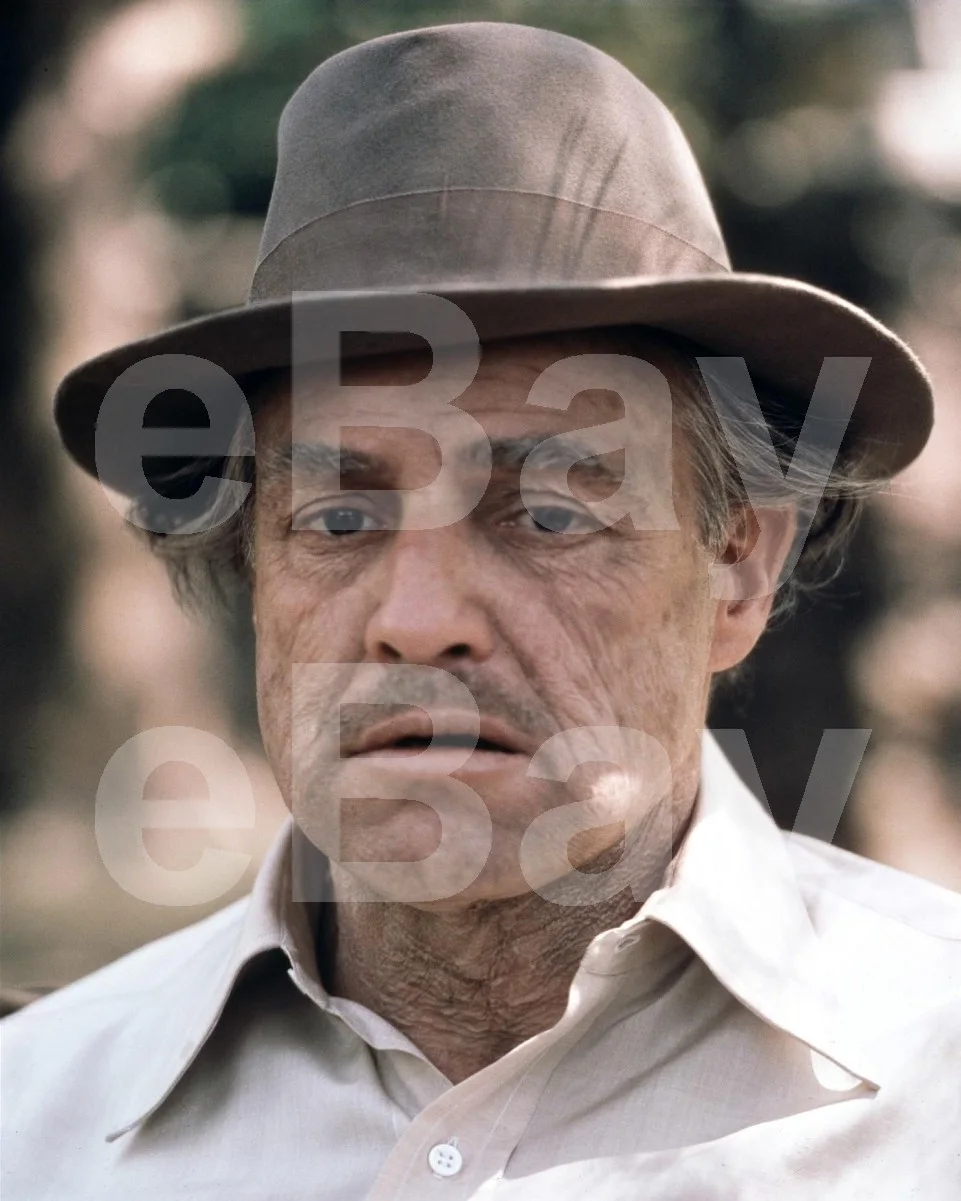 The Godfather (1972) Marlon Brando 16x12 Photo Poster Print, изображение 4