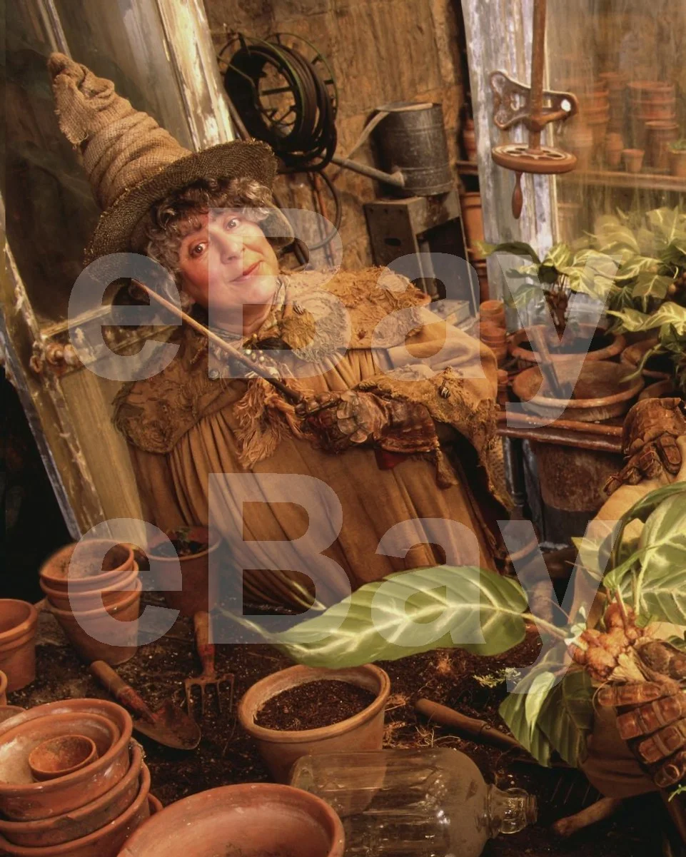 Harry Potter and the Chamber of Secrets (2002) Miriam Margolyes 16x12 Photo, изображение 4