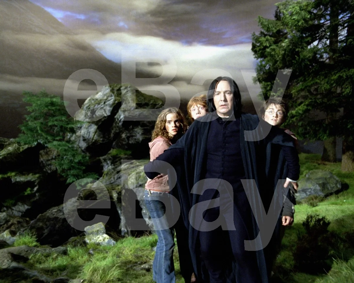 Harry Potter Alan Rickman Emma Watson Rupert Grint Daniel Radcliffe 16x12 Photo, image 4