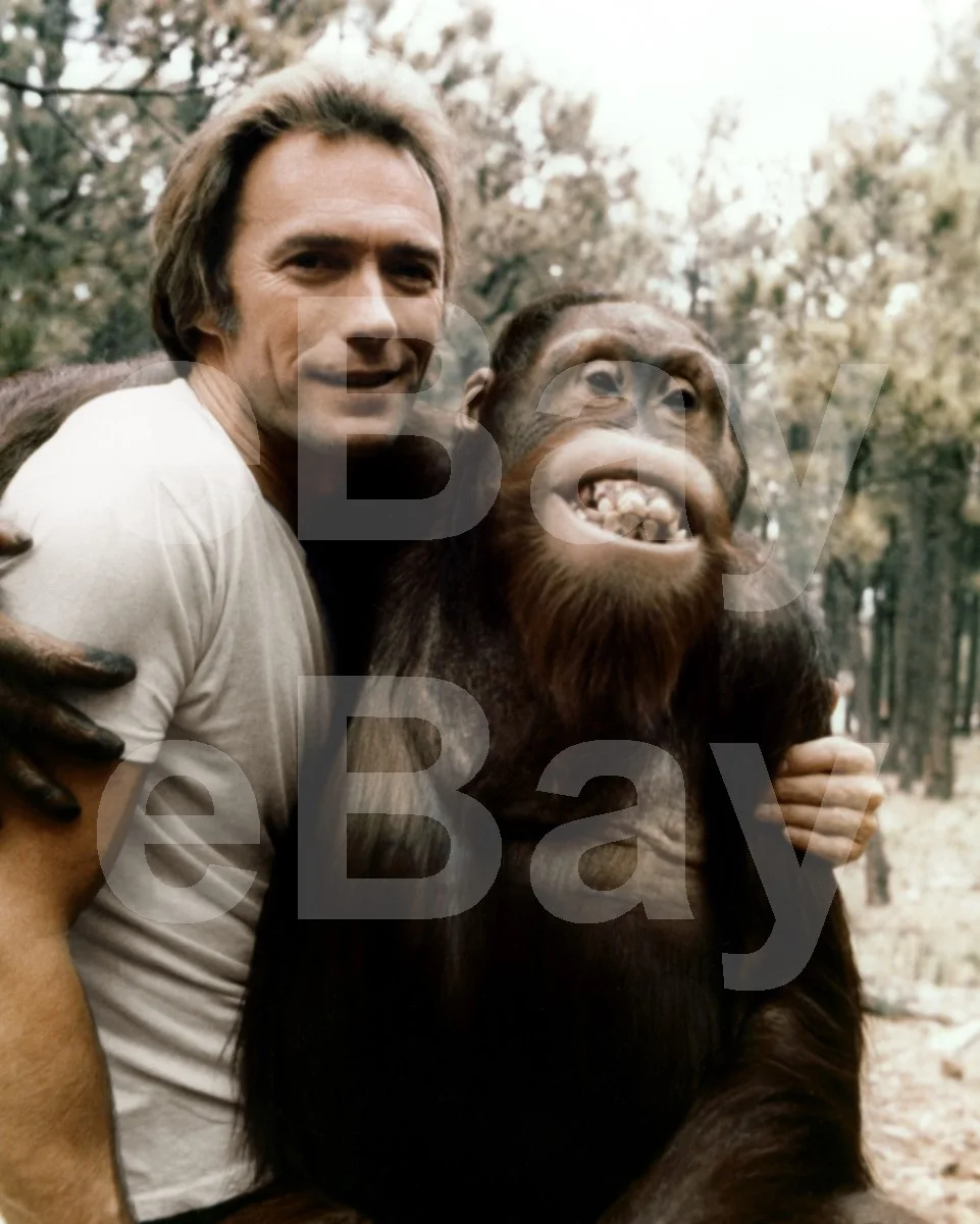 Every Which Way But Loose (1978) Clint Eastwood 16x12 Photo Poster Print, изображение 4