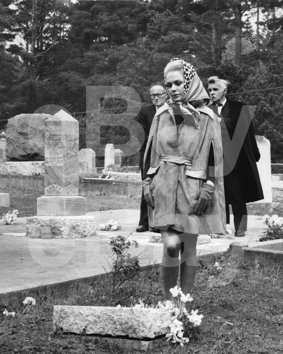 The Dunwich Horror (1970) Sandra Dee 16x12 Photo Poster Print, image 4