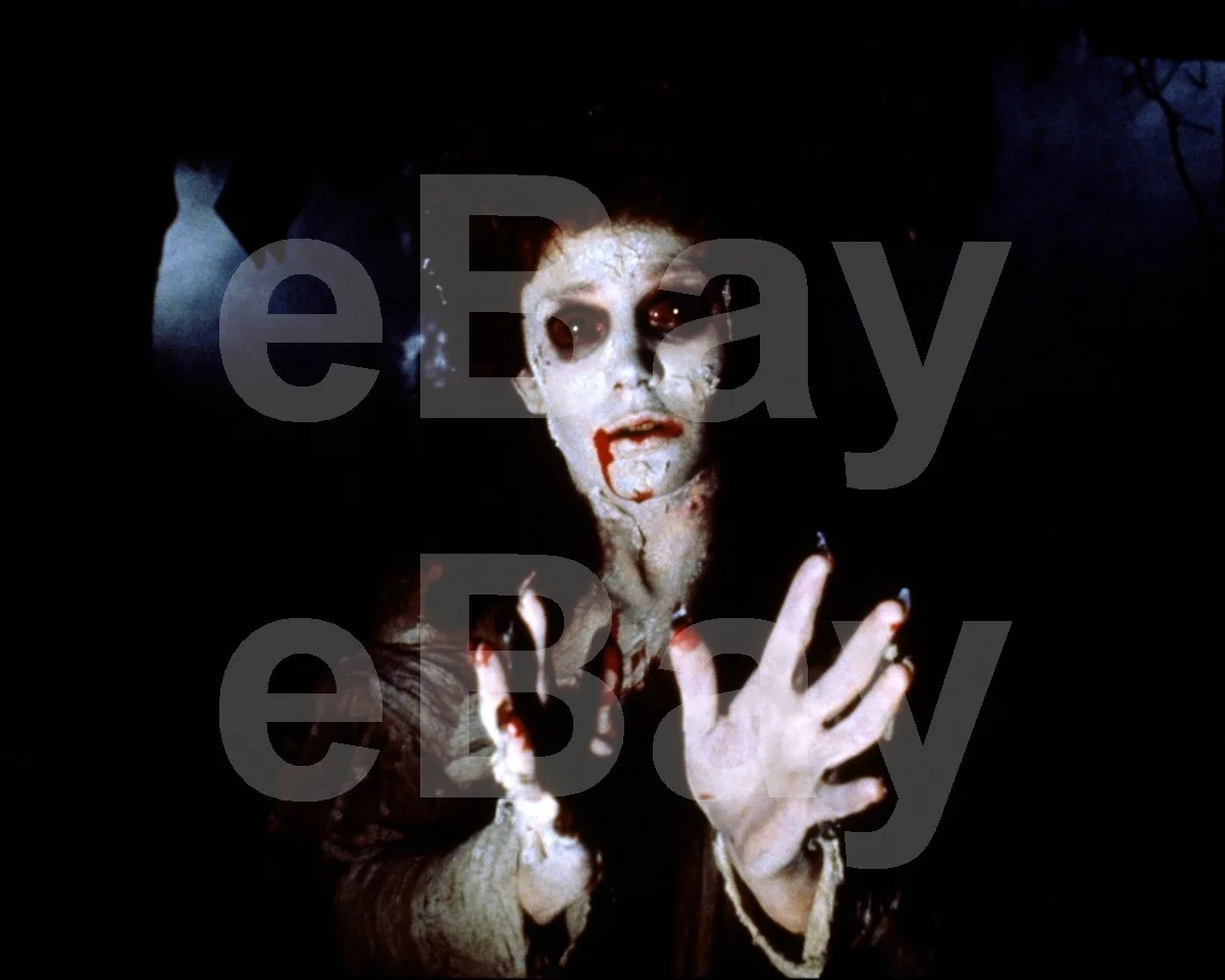 Dracula (1979) Jan Francis 16x12 Photo Poster Print, image 4