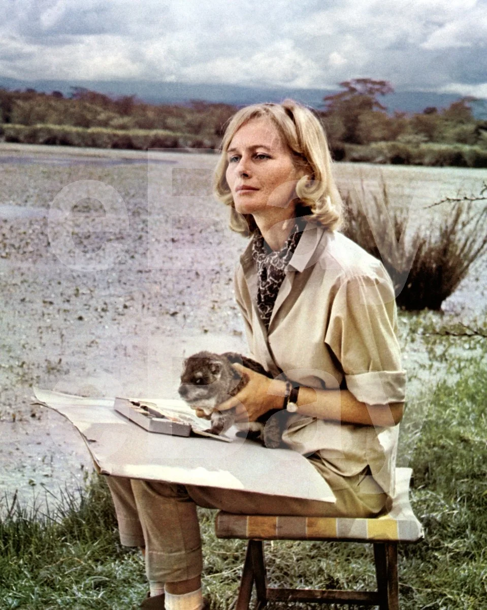 Born Free (1966) Virginia McKenna 16x12 Photo Poster Print, изображение 4
