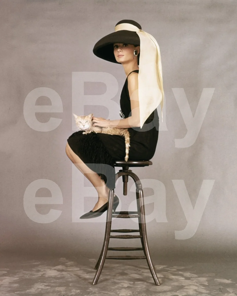 Breakfast at Tiffany's (1961) Audrey Hepburn 16x12 Photo Poster Print, изображение 4