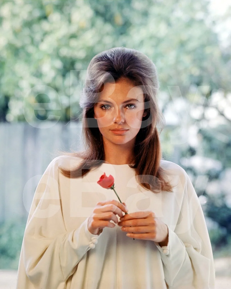 Bullitt (1968) Jacqueline Bisset 16x12 Photo Poster Print, изображение 4