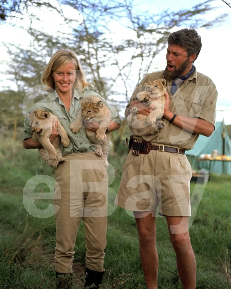 Born Free (1966) Virginia McKenna, Bill Travers 16x12 Photo Poster Print, изображение 4