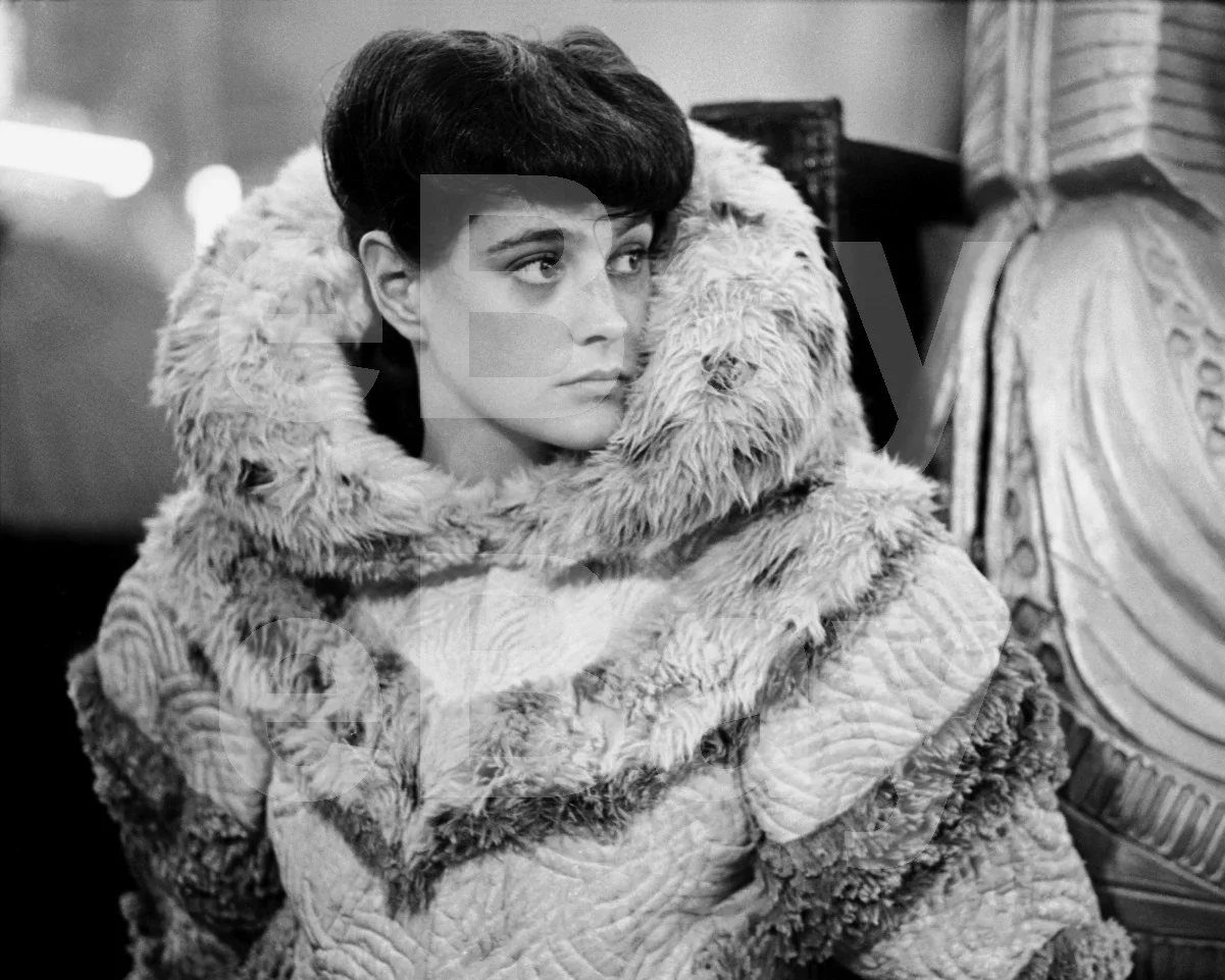 Blade Runner (1982) Sean Young 16x12 Photo Poster Print, image 4
