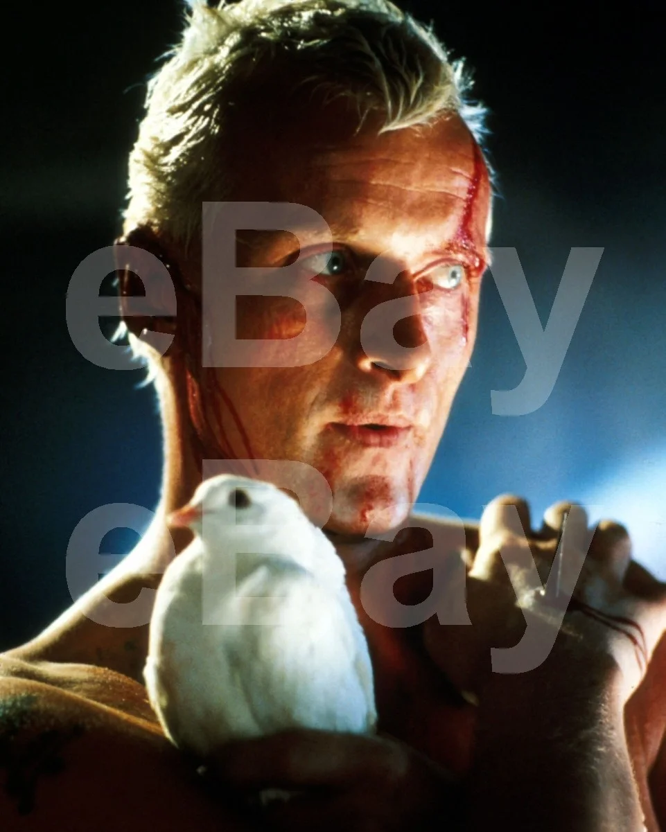Blade Runner (1982) Rutger Hauer 16x12 Photo Poster Print, изображение 4