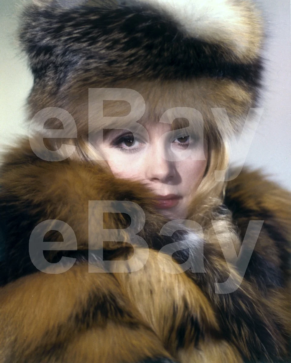 Billion Dollar Brain (1967) Francoise Dorleac 16x12 Photo Poster Print, изображение 4