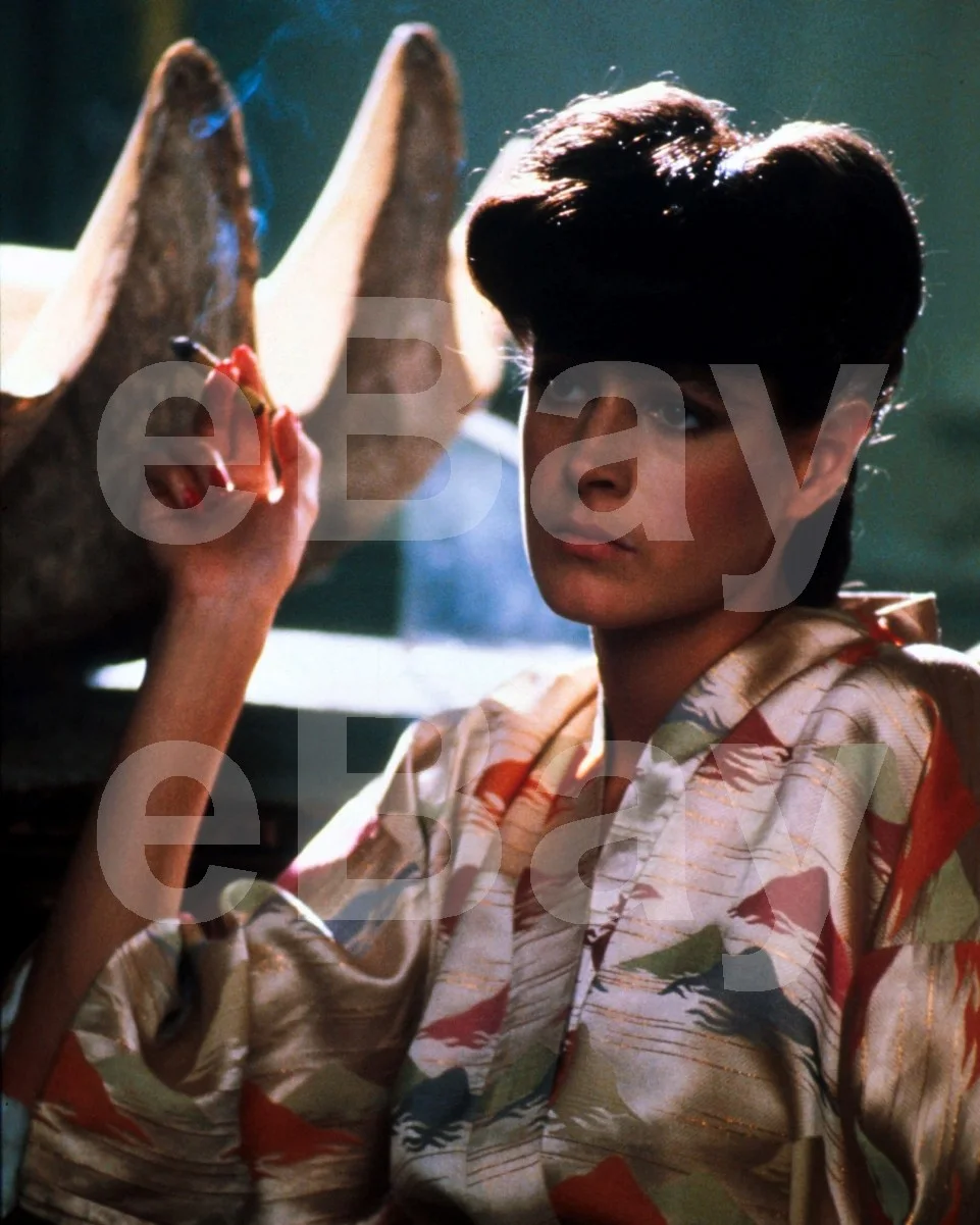 Blade Runner (1982) Sean Young 16x12 Photo Poster Print, изображение 4