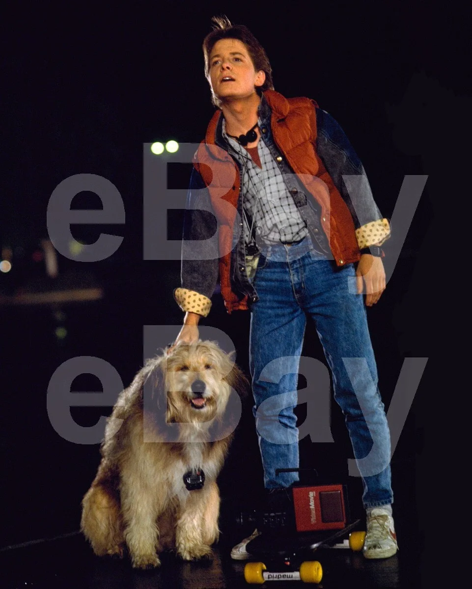 Back To The Future (1985) Michael J Fox 16x12 Photo Poster Print, image 4