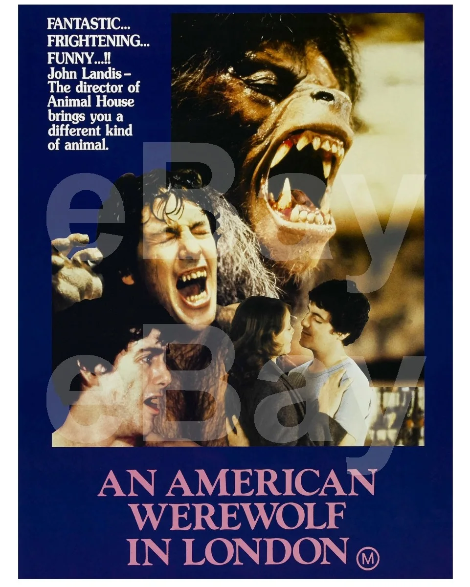 An American Werewolf in London (1981) David Naughton, Jenny Agutter 16x12 Photo, изображение 4