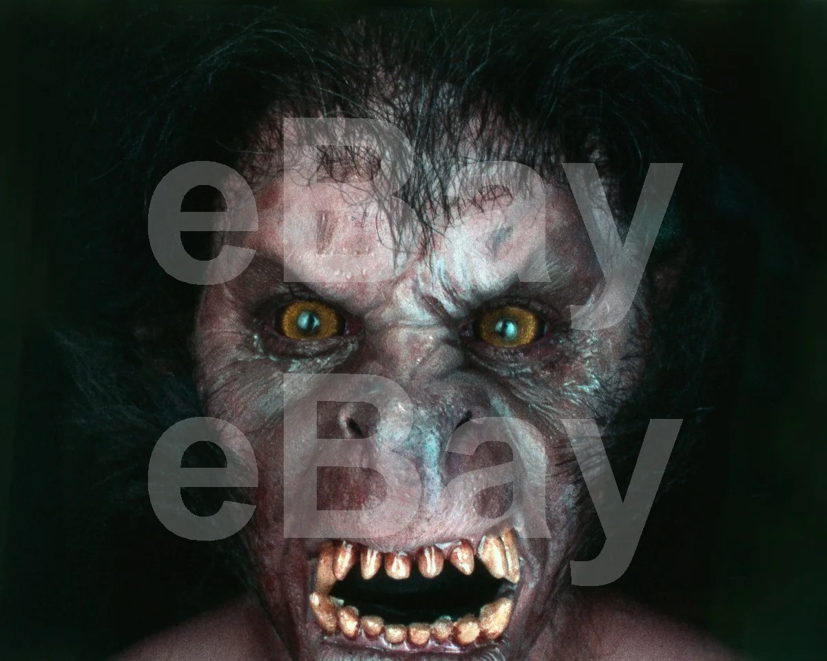 An American Werewolf in London (1981) David Naughton 16x12 Photo Poster Print, изображение 4