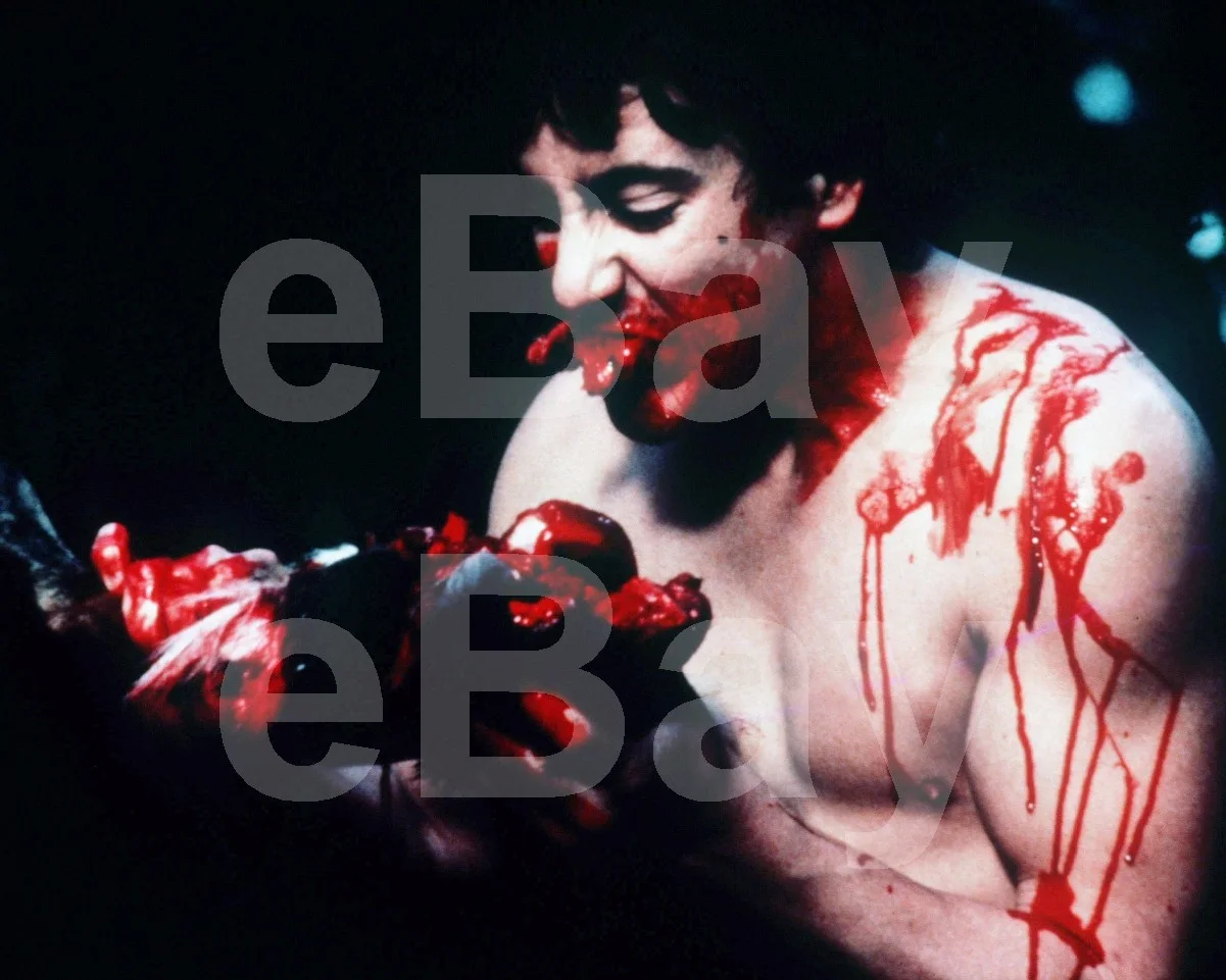 An American Werewolf in London (1981) David Naughton 16x12 Photo Poster Print, изображение 4