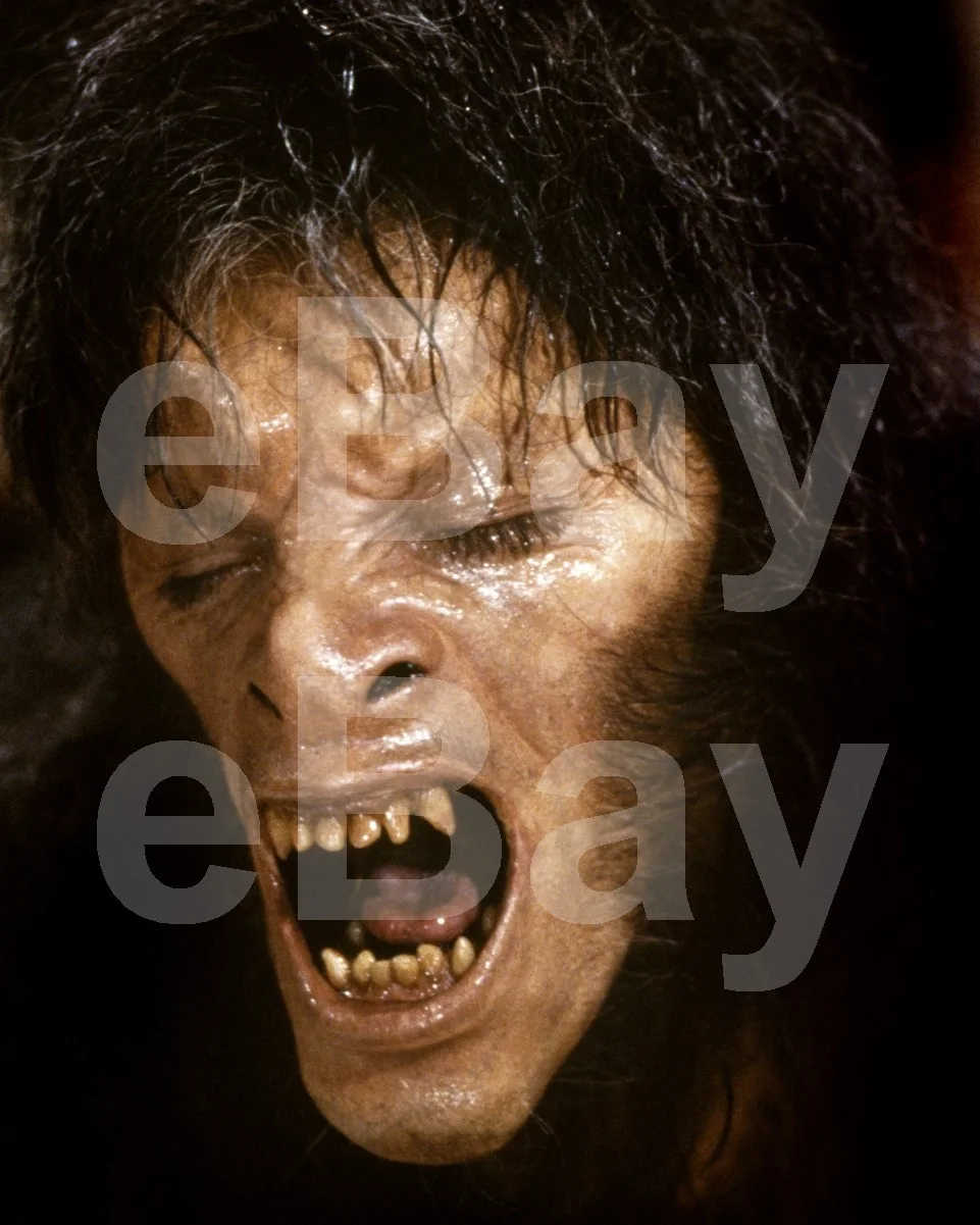 An American Werewolf in London (1981) David Naughton 16x12 Photo Poster Print, изображение 4