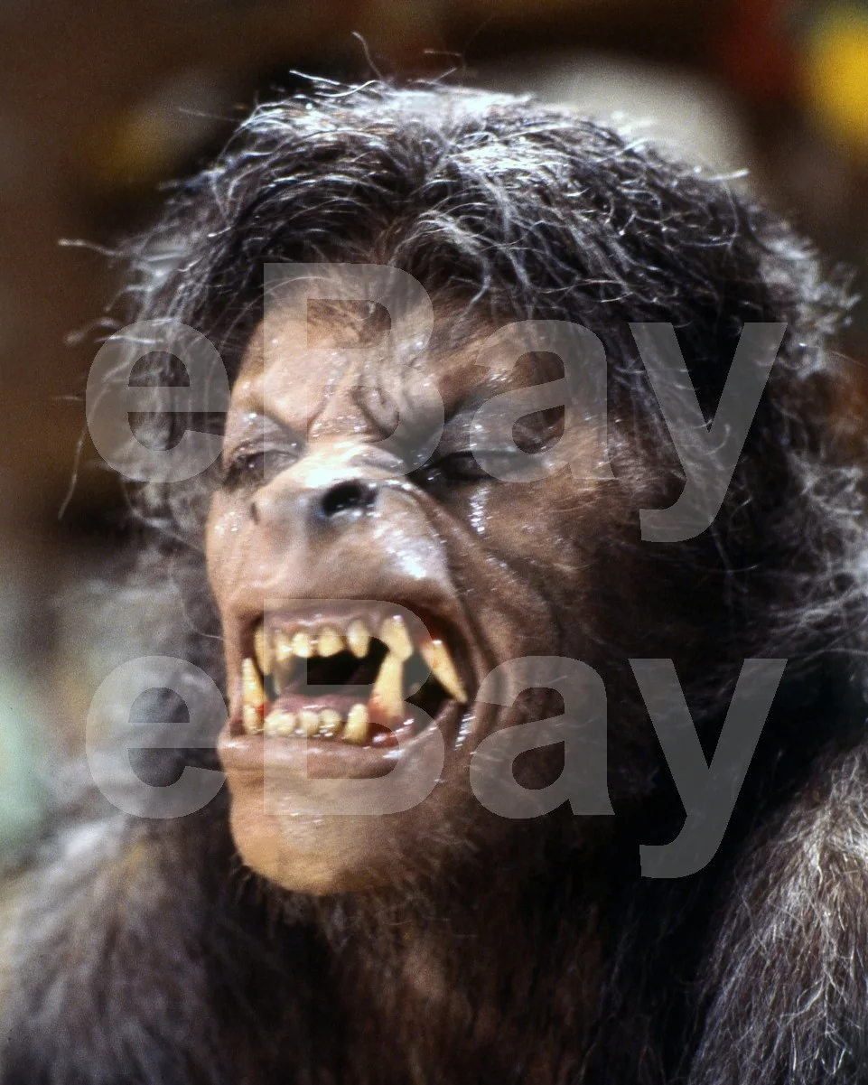 An American Werewolf in London (1981) David Naughton 16x12 Photo Poster Print, изображение 4