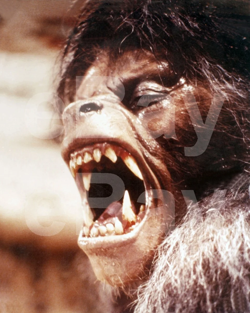 An American Werewolf in London (1981) David Naughton 16x12 Photo Poster Print, изображение 4