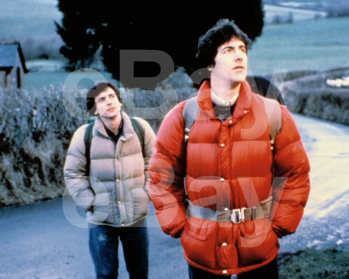An American Werewolf in London (1981) David Naughton, Griffin Dunne 16x12 Photo, изображение 4