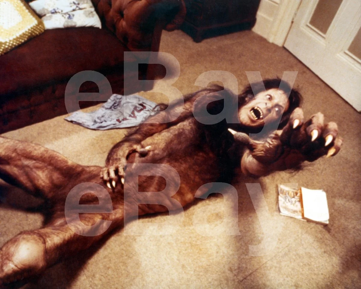 An American Werewolf in London (1981) David Naughton 16x12 Photo Poster Print, изображение 4