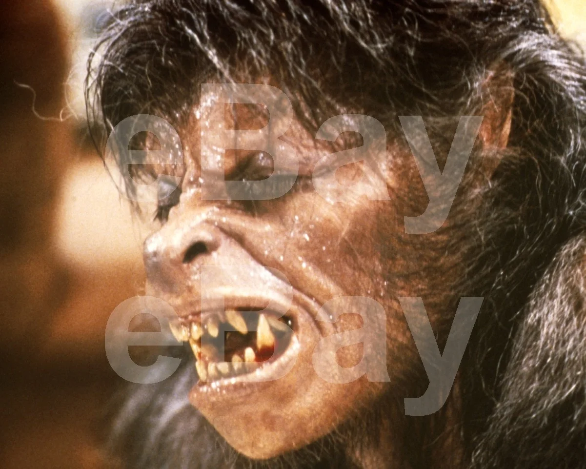 An American Werewolf in London (1981) David Naughton 16x12 Photo Poster Print, изображение 4