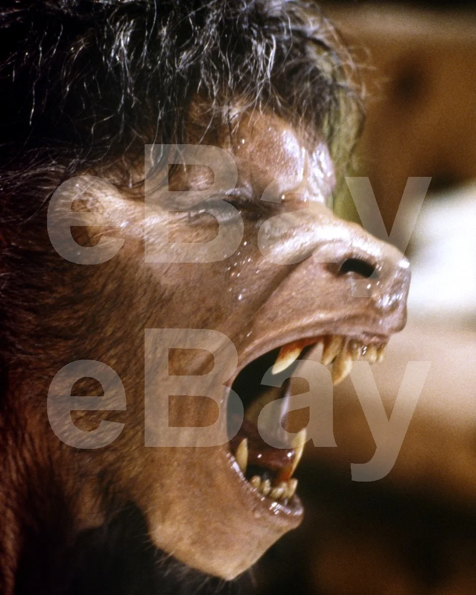 An American Werewolf in London (1981) David Naughton 16x12 Photo Poster Print, изображение 4