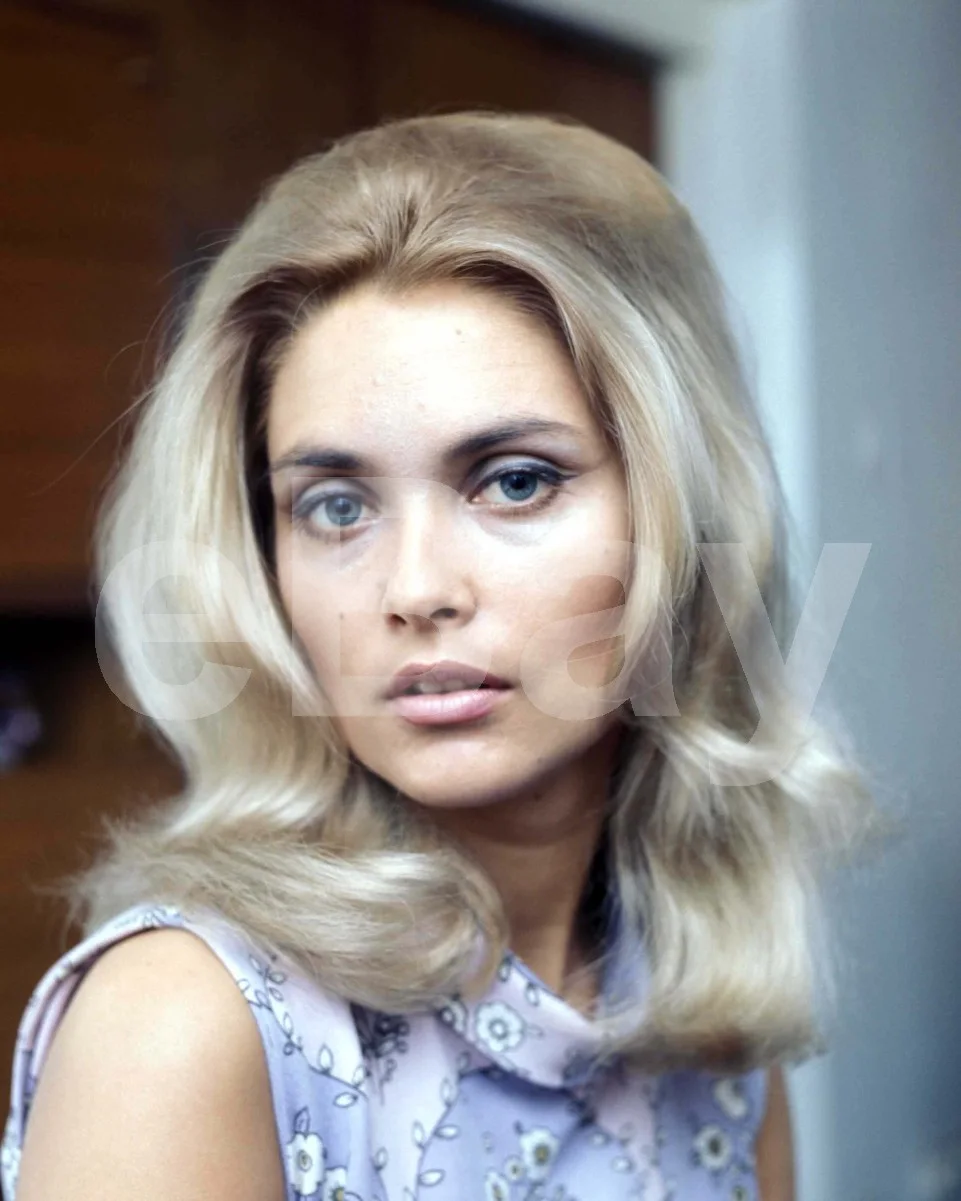 Alexandra Bastedo 16x12 Photo Poster Print, изображение 4