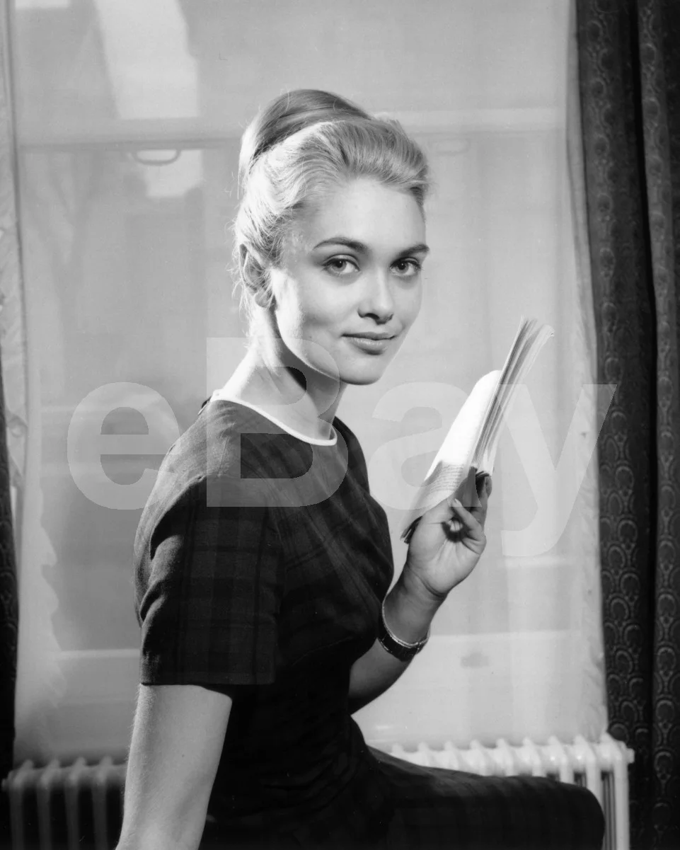 Alexandra Bastedo 16x12 Photo Poster Print, изображение 4